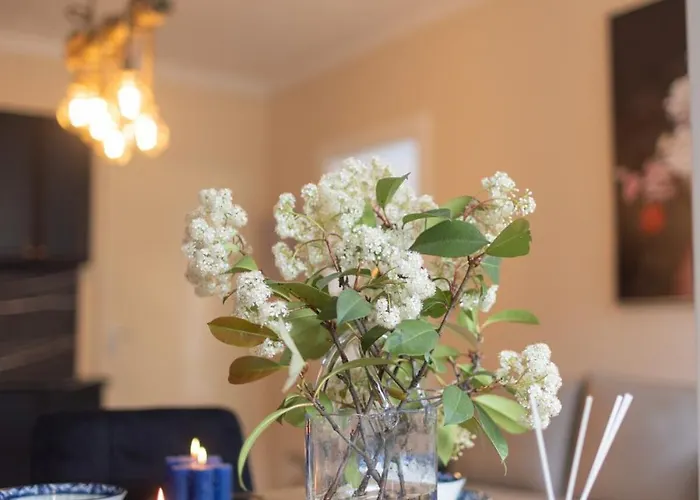 Daire Ingrit Gjoni *